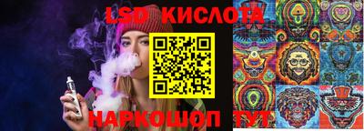сатива Новозыбков