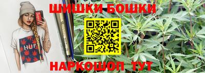 гидра Новодвинск