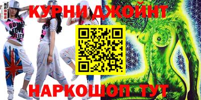 сатива Новозыбков