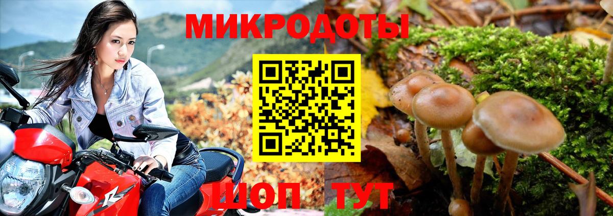Псилоцибиновые грибы мухоморы Усть-Илимск