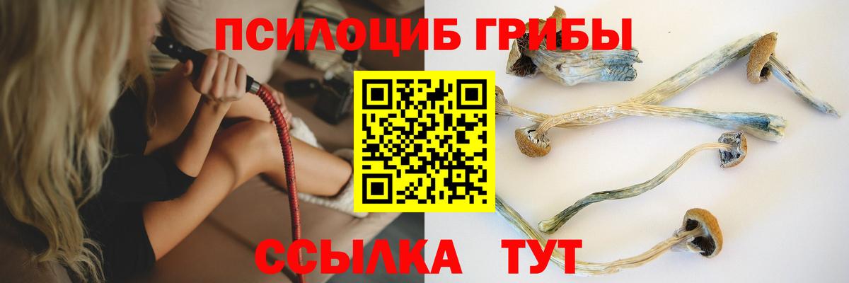 Усть-Илимск  даркнет сайт  Вход с VPN  Галлюциногенные грибы Psilocybine cubensis 